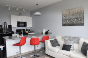 Warm & Cozy 1 bedroom downtown condo with amazing views
